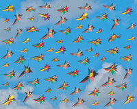 A Flock